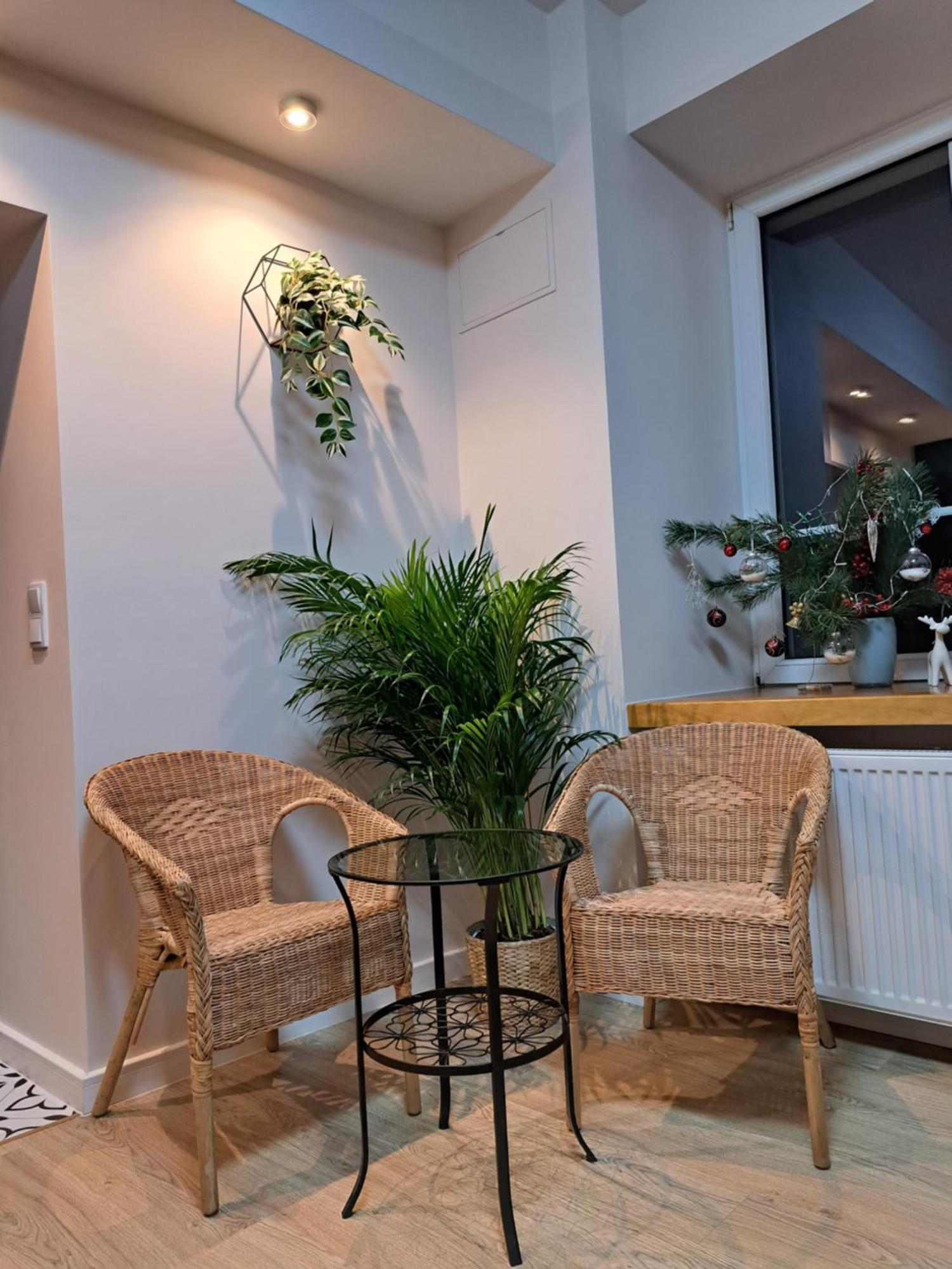 Apartament Deluxe-Gontalowy 卡齐米日-多尔尼 外观 照片
